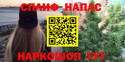 стафф Краснознаменск