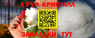 стафф Краснознаменск